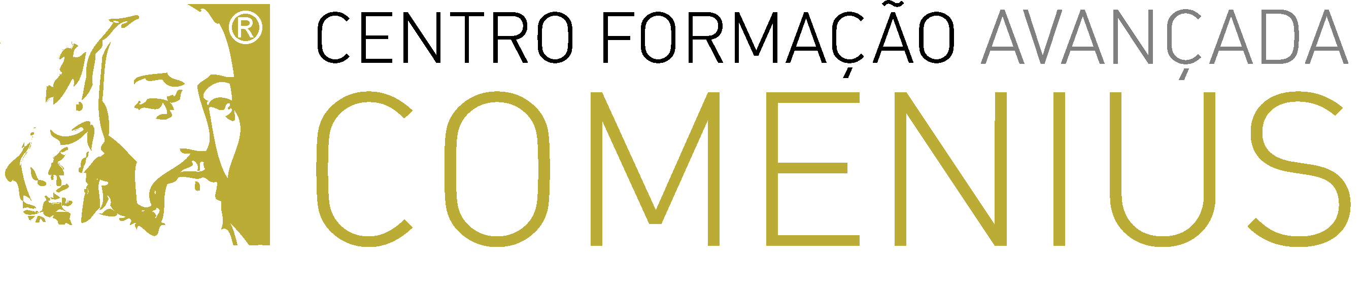 Logo CF comenius